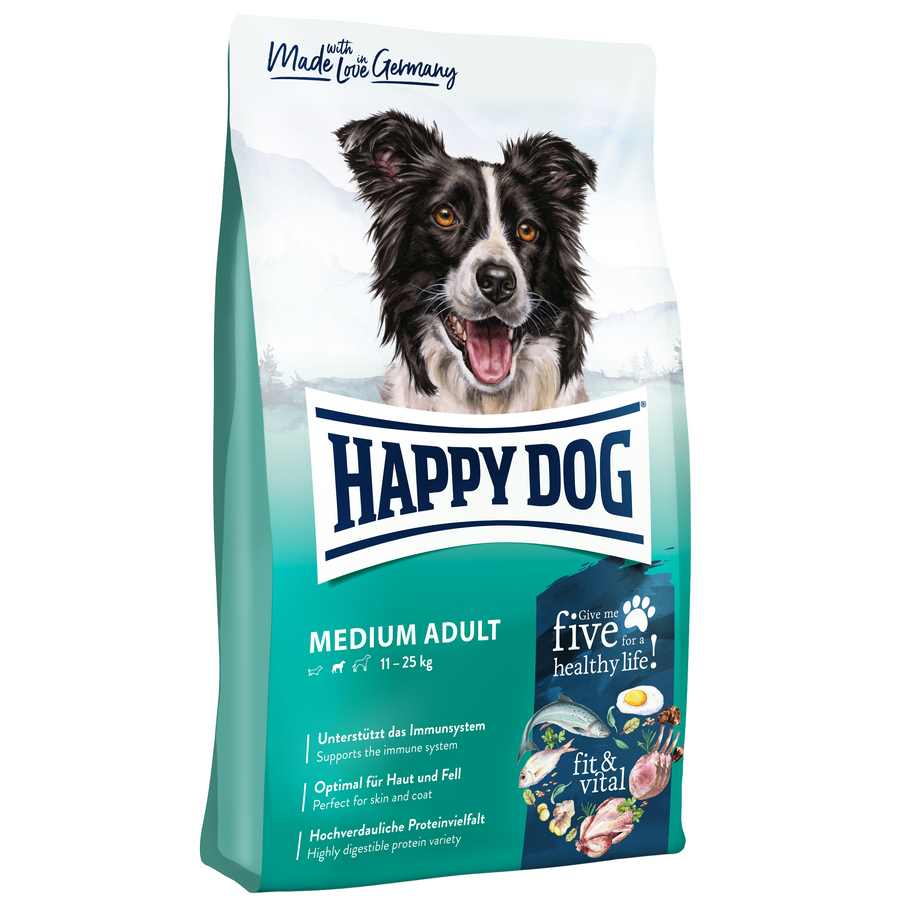 happy dog adult medium